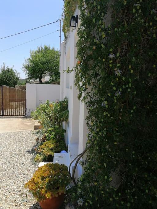 Casa Jardin. Vivienda Rural En Zona Tranquila. Villa Lucainena de las Torres Eksteriør billede