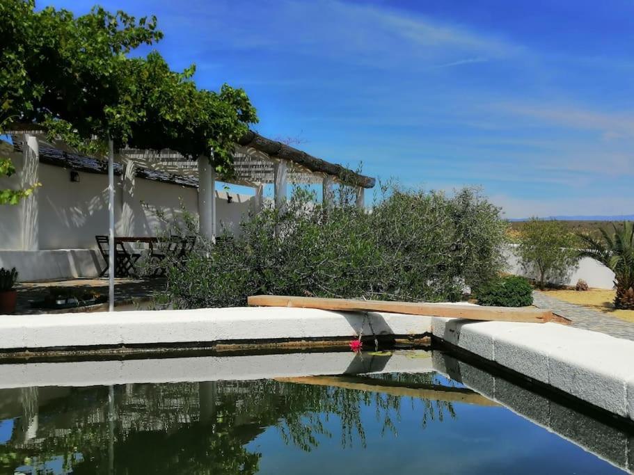 Casa Jardin. Vivienda Rural En Zona Tranquila. Villa Lucainena de las Torres Eksteriør billede