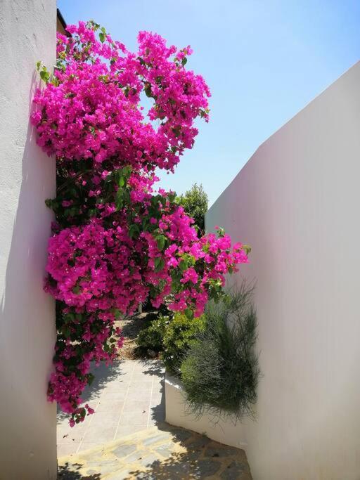 Casa Jardin. Vivienda Rural En Zona Tranquila. Villa Lucainena de las Torres Eksteriør billede