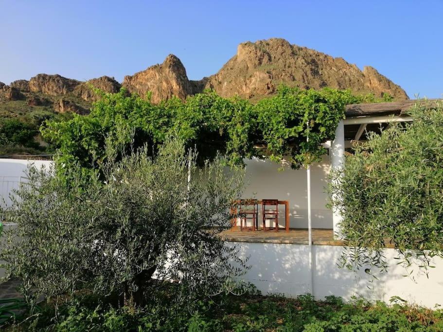 Casa Jardin. Vivienda Rural En Zona Tranquila. Villa Lucainena de las Torres Eksteriør billede