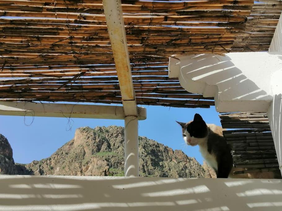 Casa Jardin. Vivienda Rural En Zona Tranquila. Villa Lucainena de las Torres Eksteriør billede