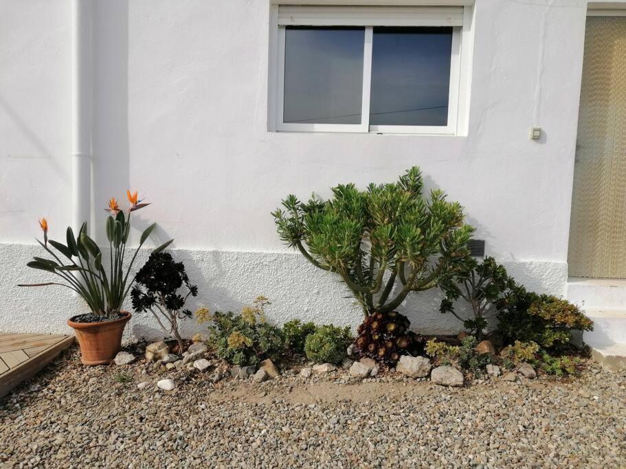 Casa Jardin. Vivienda Rural En Zona Tranquila. Villa Lucainena de las Torres Eksteriør billede