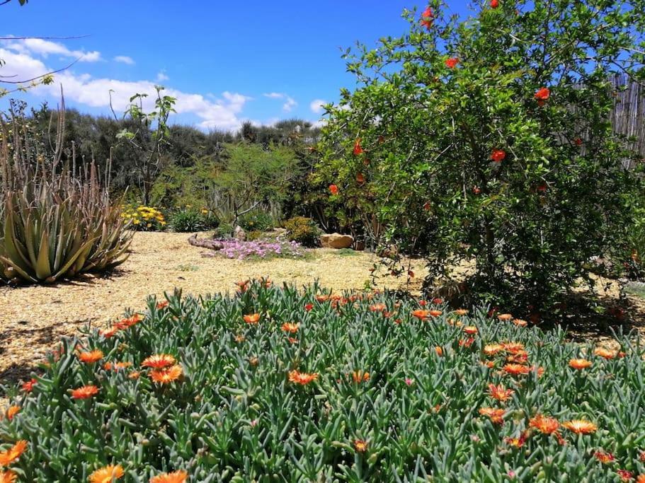 Casa Jardin. Vivienda Rural En Zona Tranquila. Villa Lucainena de las Torres Eksteriør billede
